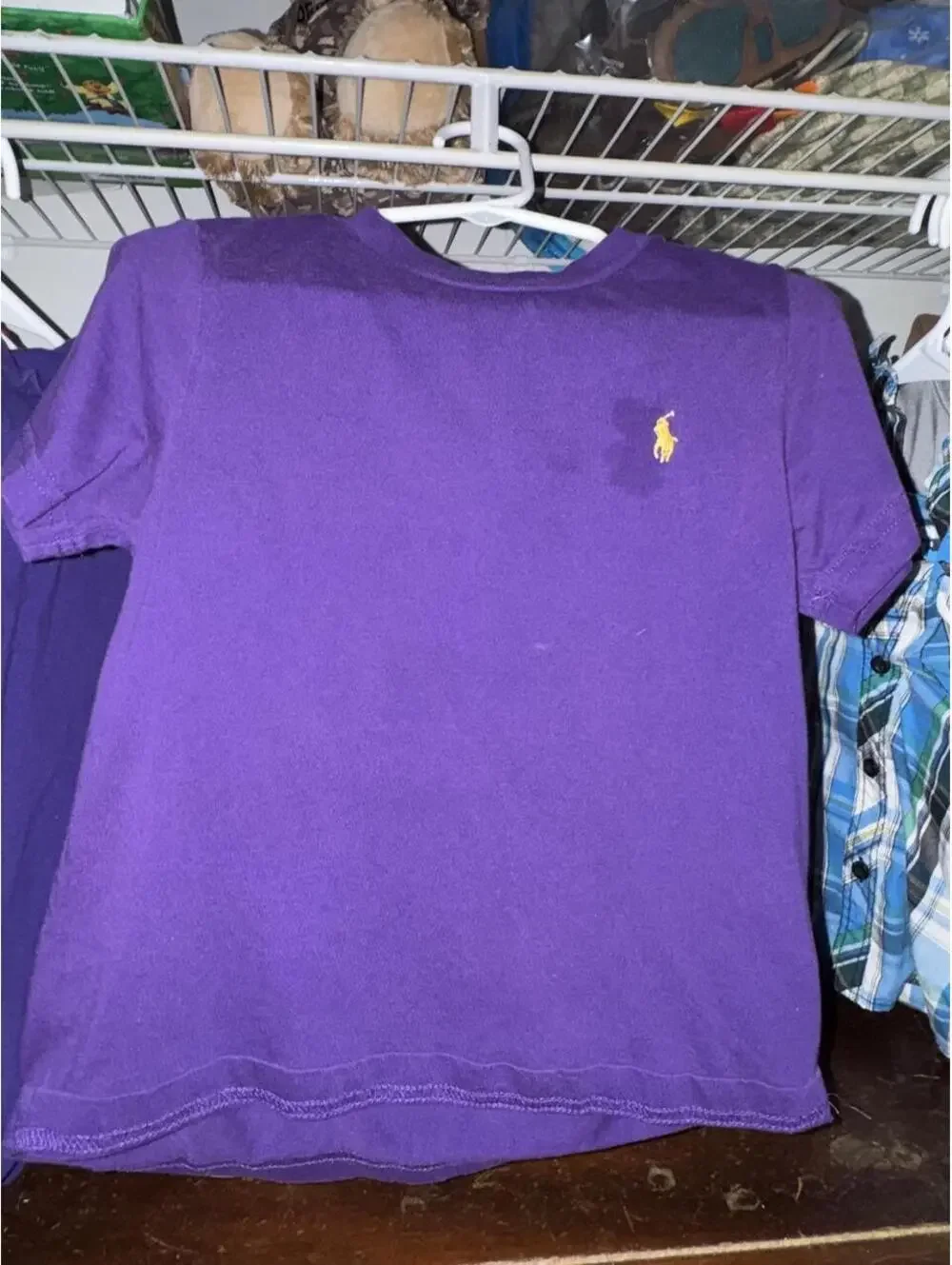Polo Ralph Lauren Kid's Purple Tshirt